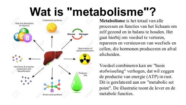 wat is metabolisme